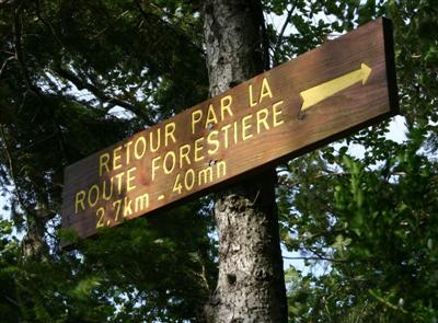 Panneau route forestiere