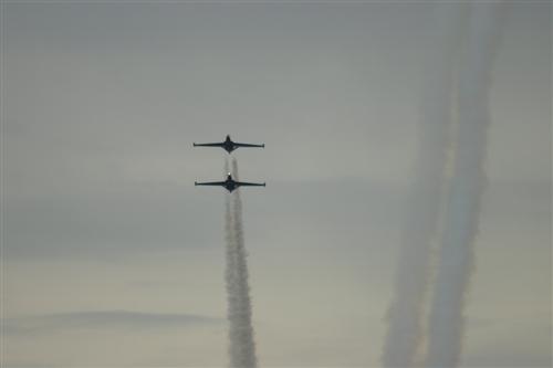 Fougas Magister de la Patrouille Tranchant