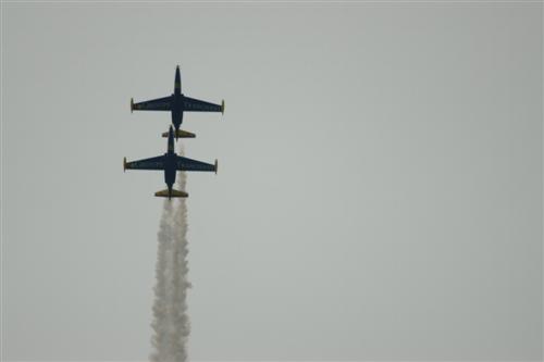 Fougas Magister de la Patrouille Tranchant